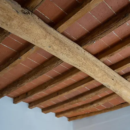 Daire Tipica Cozy House + Parking! Floransa